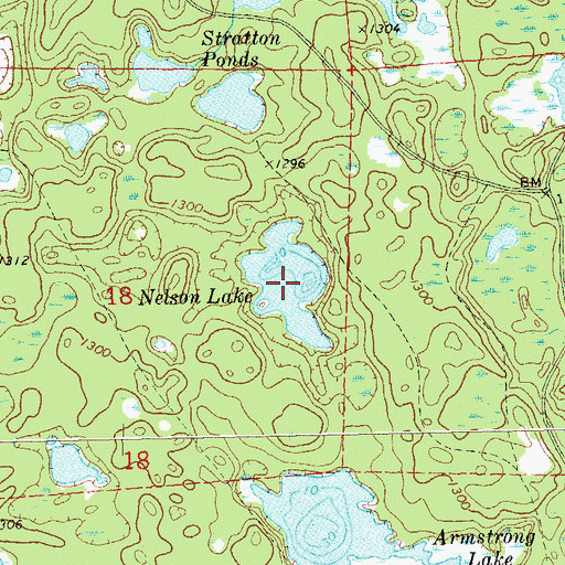 Topographic Map of Nelson Lake, WI