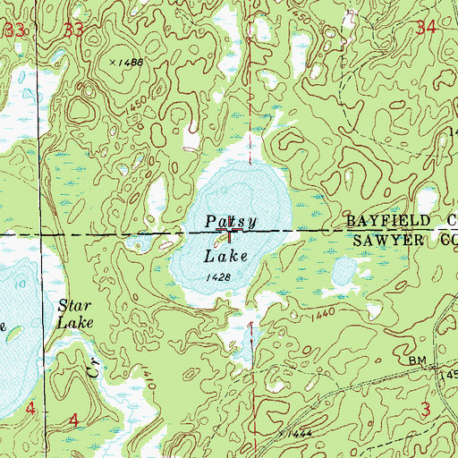 Topographic Map of Patsy Lake, WI