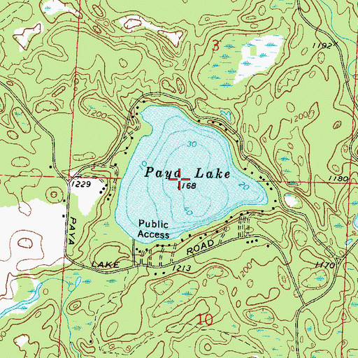 Topographic Map of Paya Lake, WI