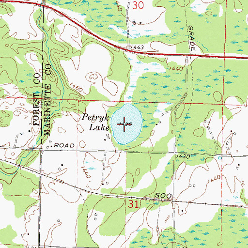 Topographic Map of Petryk Lake, WI
