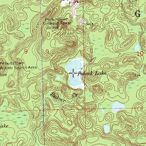 Topographic Map of Polack Lake, WI