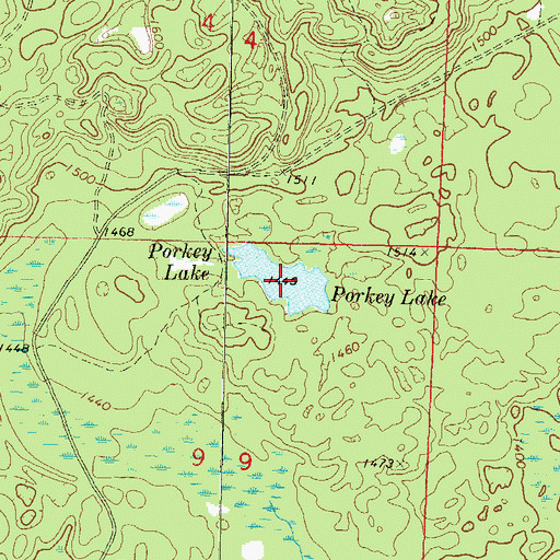 Topographic Map of Porkey Lake, WI