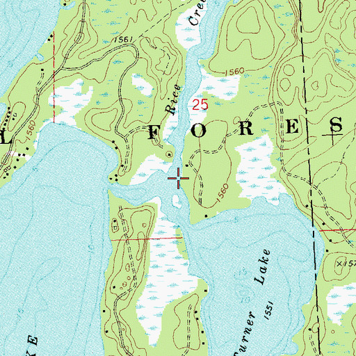 Topographic Map of Rice Creek, WI