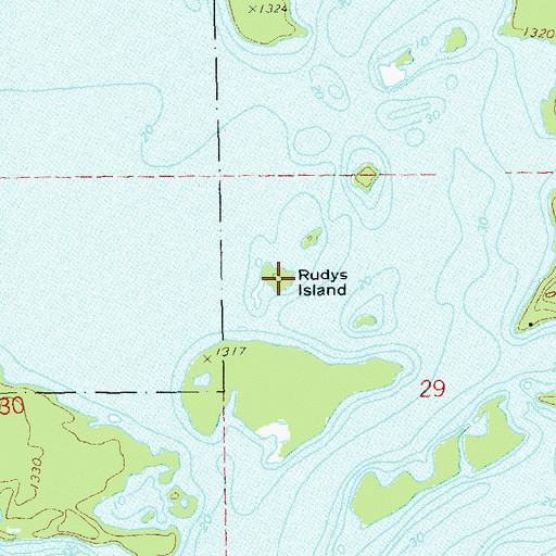 Topographic Map of Rudys Island, WI