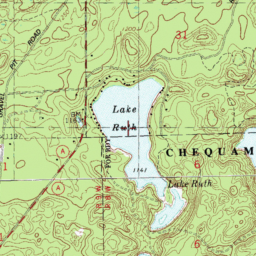 Topographic Map of Lake Ruth, WI
