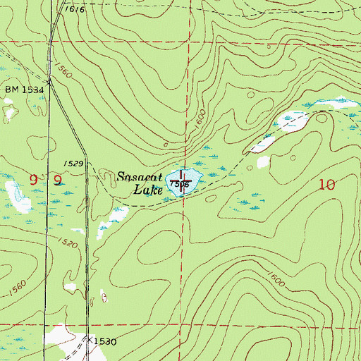 Topographic Map of Sasacat Lake, WI