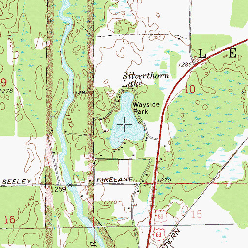 Topographic Map of Silverthorn Lake, WI