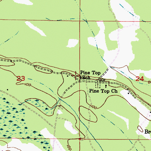Topographic Map of Pine Top School (historical), AL