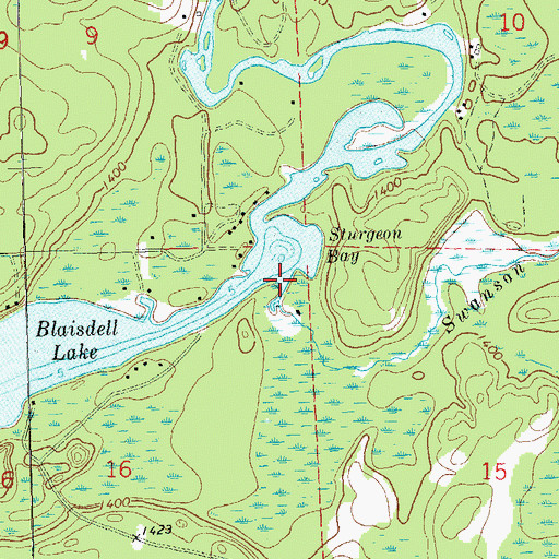 Topographic Map of Swanson Creek, WI