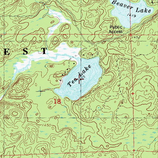 Topographic Map of Tea Lake, WI