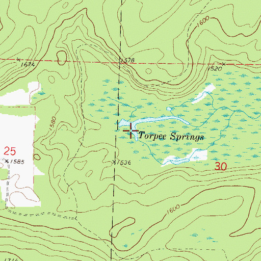 Topographic Map of Torpee Springs, WI