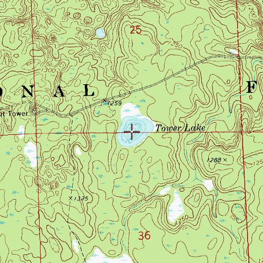 Topographic Map of Tower Lake, WI