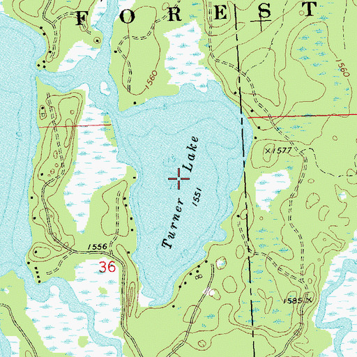Topographic Map of Turner Lake, WI