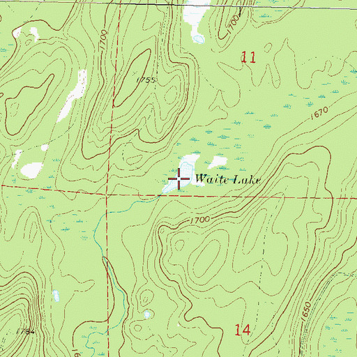 Topographic Map of Waite Lake, WI