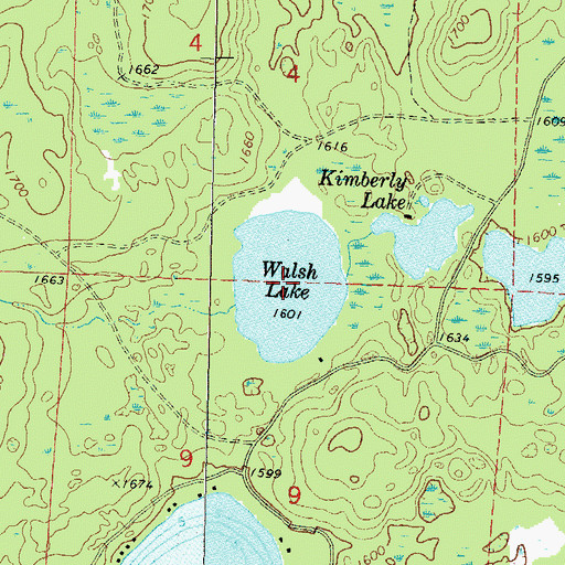 Topographic Map of Walsh Lake, WI