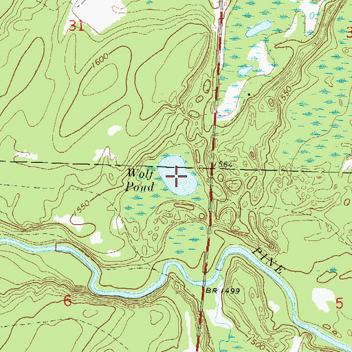 Topographic Map of Wolf Pond, WI