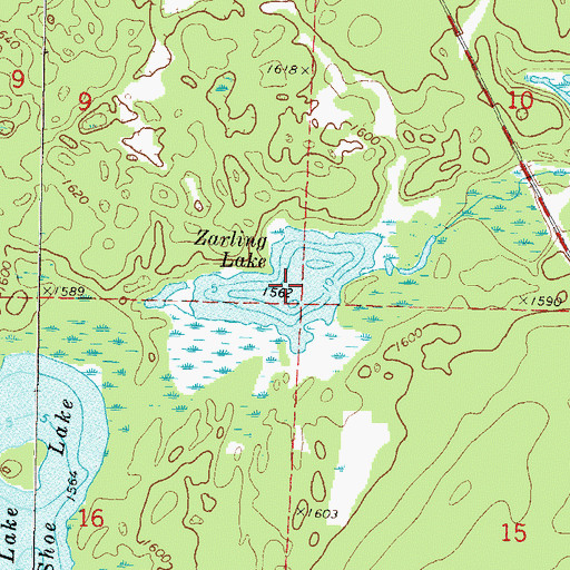 Topographic Map of Zarling Lake, WI