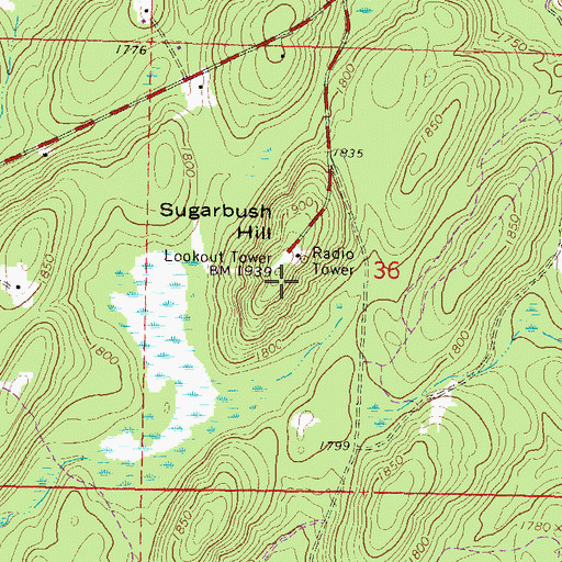 Topographic Map of Rat Lake Permanent Lookout Station, WI