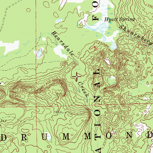 Topographic Map of Bearsdale Springs Red Pine Seed Production Area, WI