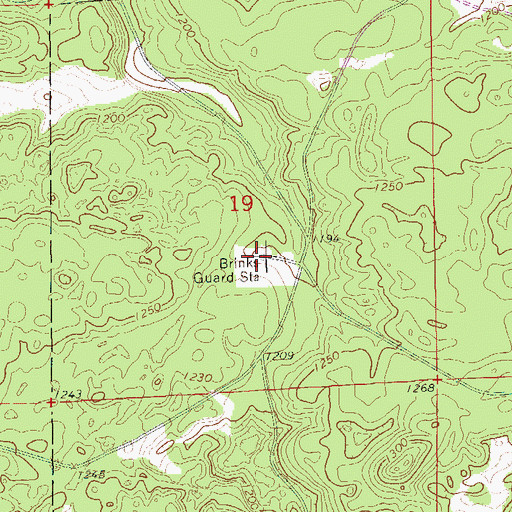 Topographic Map of Brinks Guard Station, WI