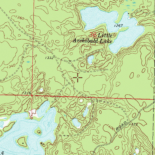Topographic Map of Cathedral of Pines Area, WI