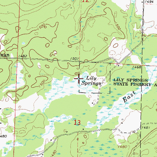 Topographic Map of Lily Springs, WI