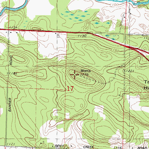 Topographic Map of Morris Lookout Tower, WI