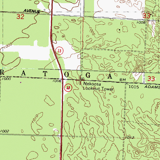 Topographic Map of Nekoosa Lookout Tower, WI