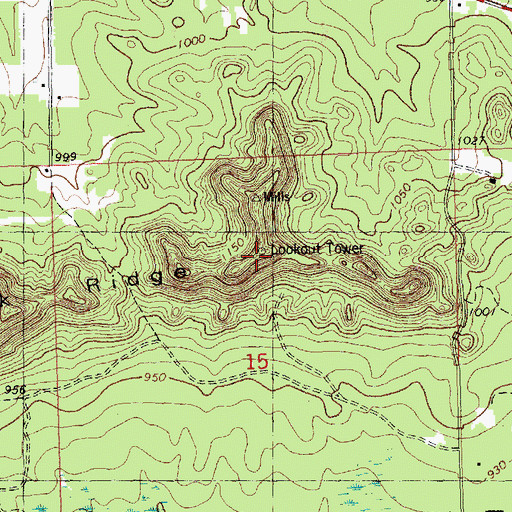 Topographic Map of Oak Ridge Fire Tower, WI