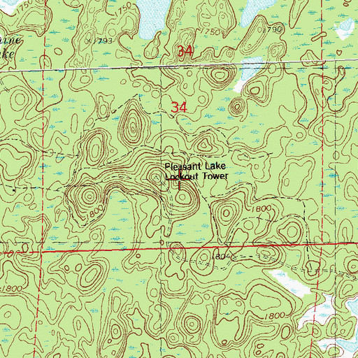 Topographic Map of Pleasant Lake Lookout Tower, WI