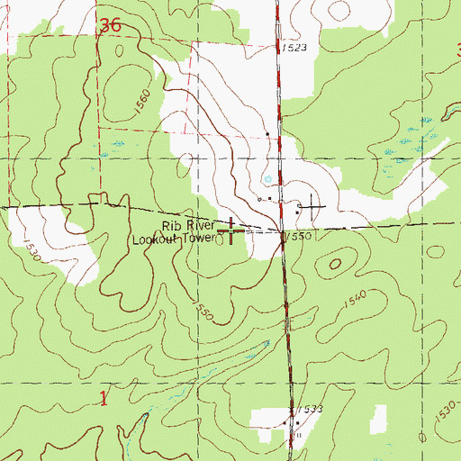 Topographic Map of Rib River Lookout Tower, WI