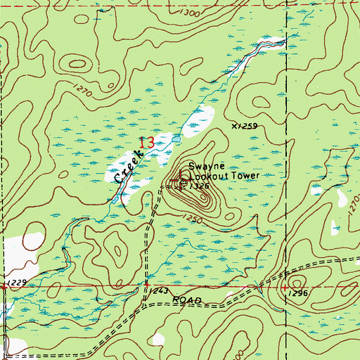 Topographic Map of Swayne Lookout Tower, WI