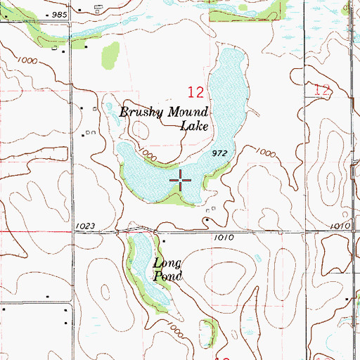 Topographic Map of Brushy Mound Lake, WI
