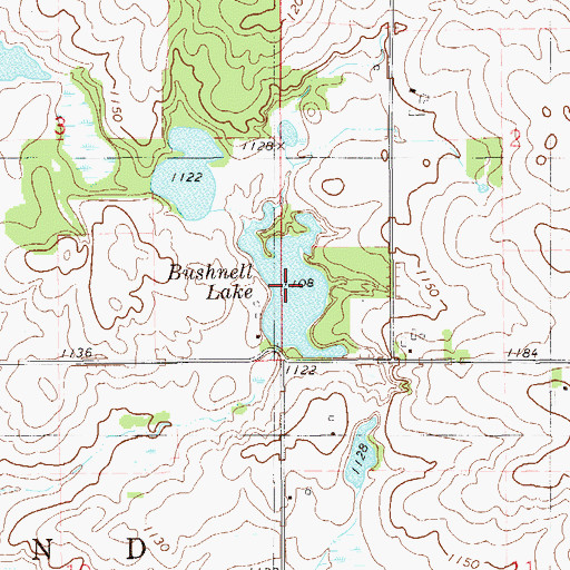 Topographic Map of Bushnell Lake, WI