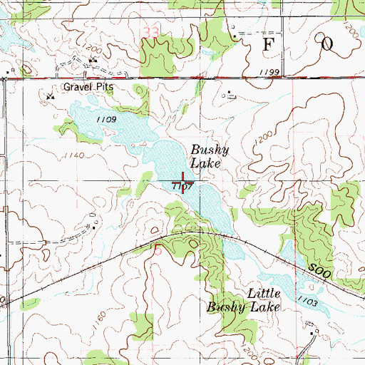 Topographic Map of Bushy Lake, WI