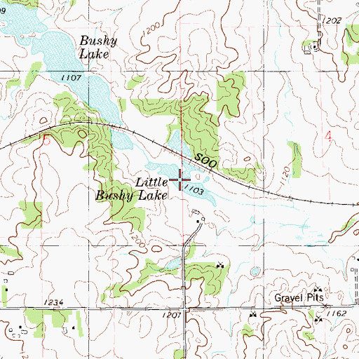 Topographic Map of Little Bushy Lake, WI