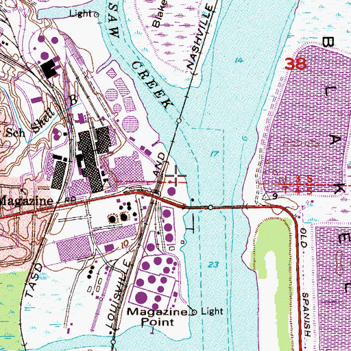 Topographic Map of Saint Louis Point, AL