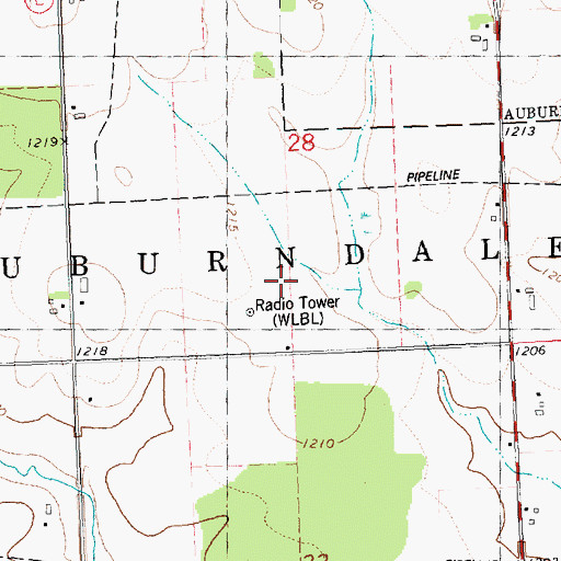 Topographic Map of WLBL-AM (Auburndale), WI