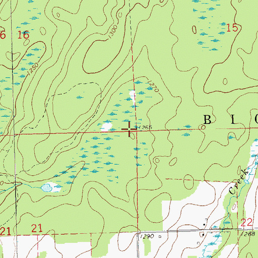 Topographic Map of Town of Big Falls, WI