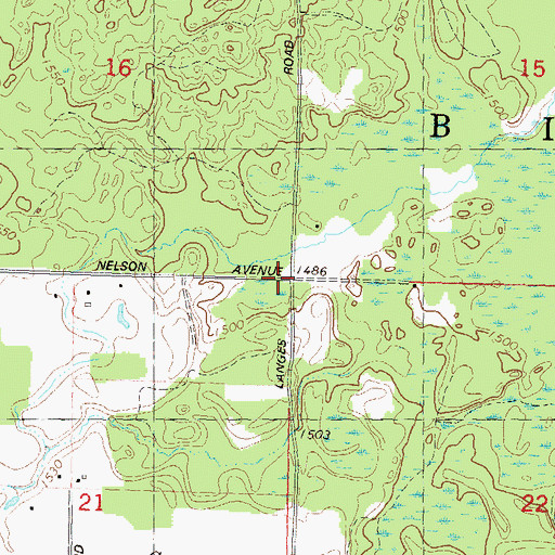 Topographic Map of Town of Birch, WI