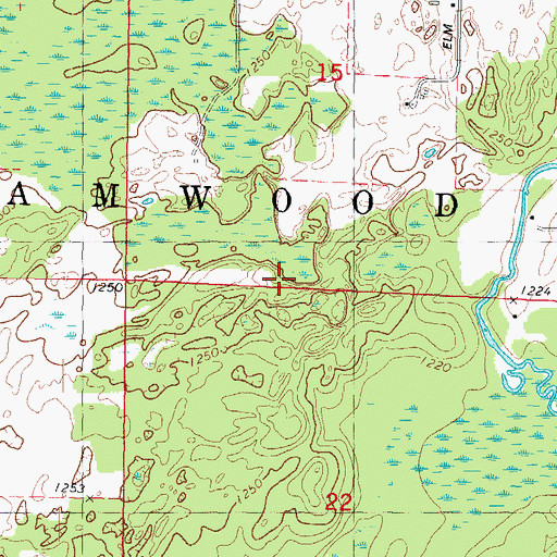Topographic Map of Town of Birnamwood, WI