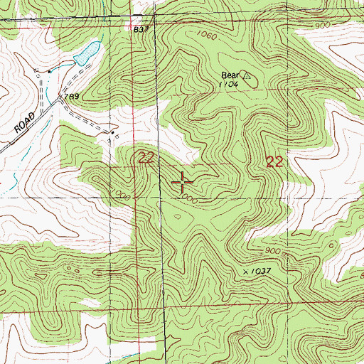 Topographic Map of Town of Buena Vista, WI