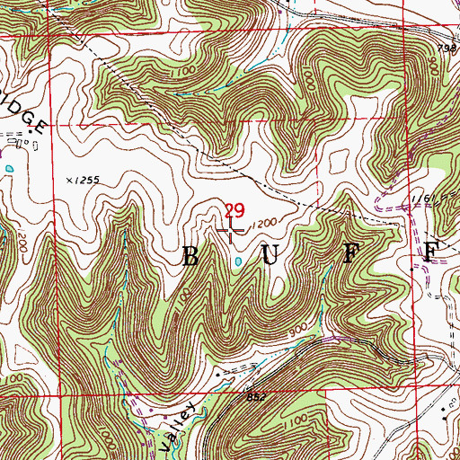 Topographic Map of Town of Buffalo, WI