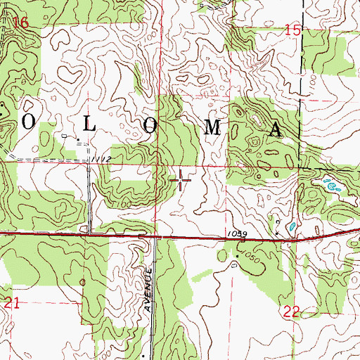 Topographic Map of Town of Coloma, WI