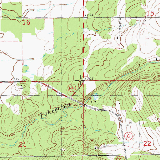 Topographic Map of Town of Doyle, WI