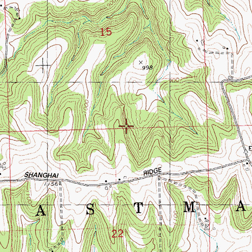 Topographic Map of Town of Eastman, WI