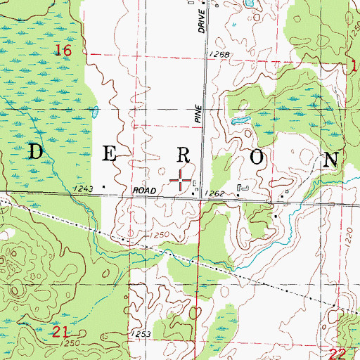 Topographic Map of Town of Elderon, WI