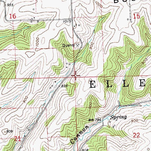 Topographic Map of Town of Ellenboro, WI