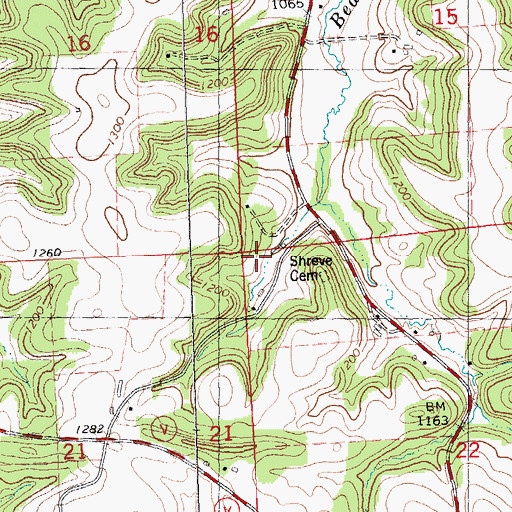 Topographic Map of Town of Greenwood, WI