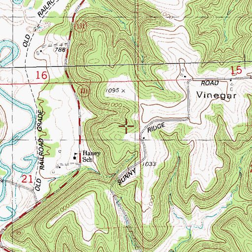 Topographic Map of Town of Haney, WI